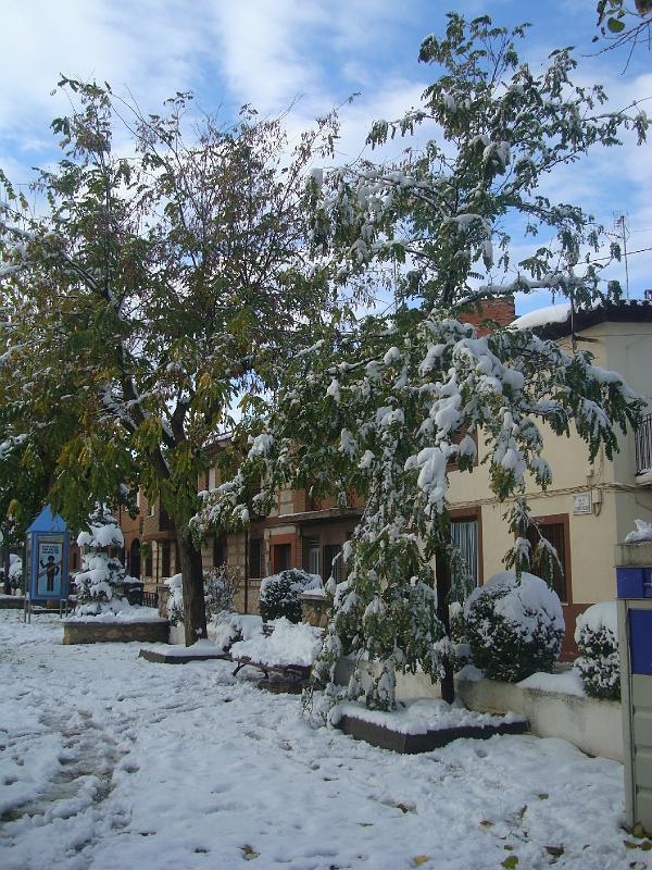 NIEVE - 14 - 12 - 09 036